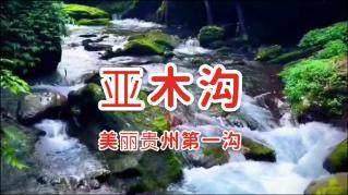 次元喵